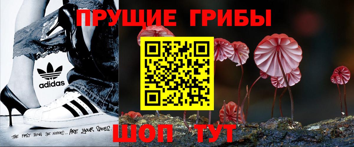 Галлюциногенные грибы прущие грибы  Вход с VPN  Тулун 